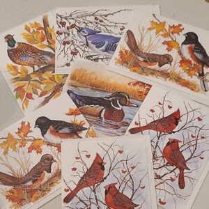Hallmark Nature-Inspired Bird Stationery Set - Multicolor